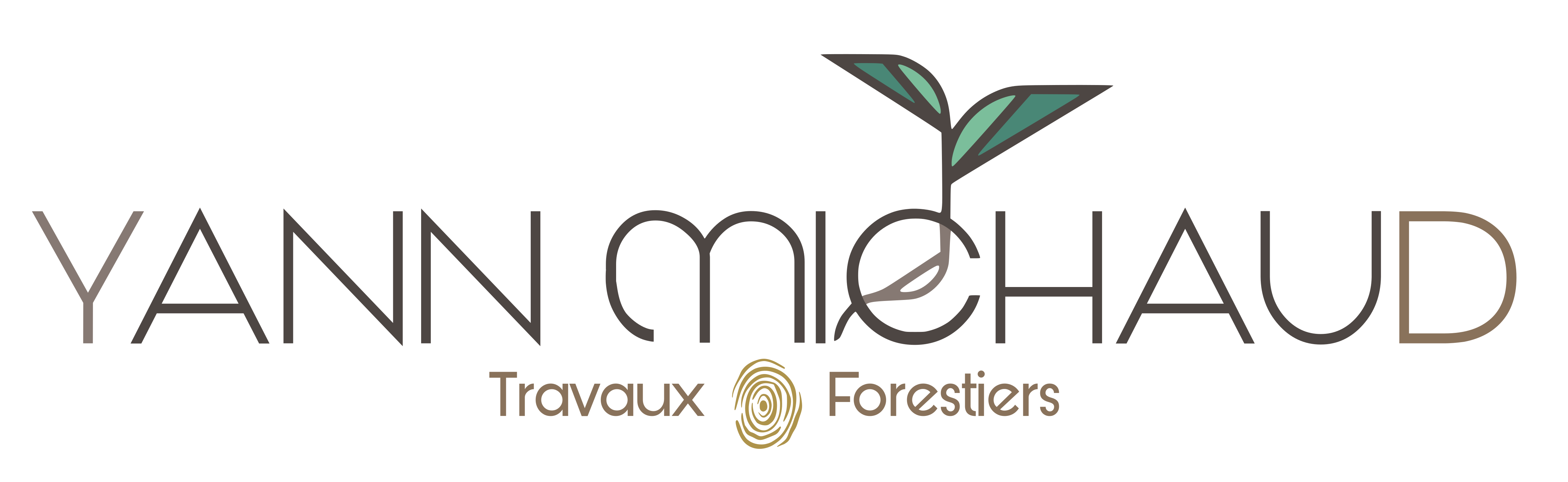 Yann michaud, michaud bois, expoitation forestière, travaux forestiers, entretien bois et fôrets, haute-savoie, chablais, thonon, evian