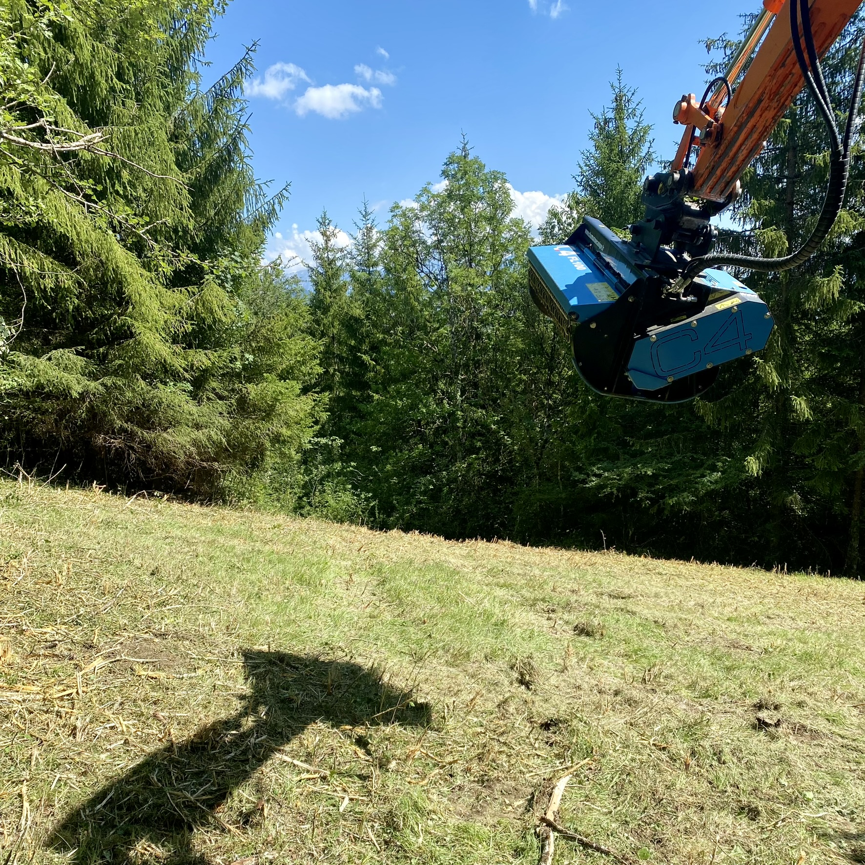 débroussaillage, élagage, entretien bois et fôret chablais, haute-savoie