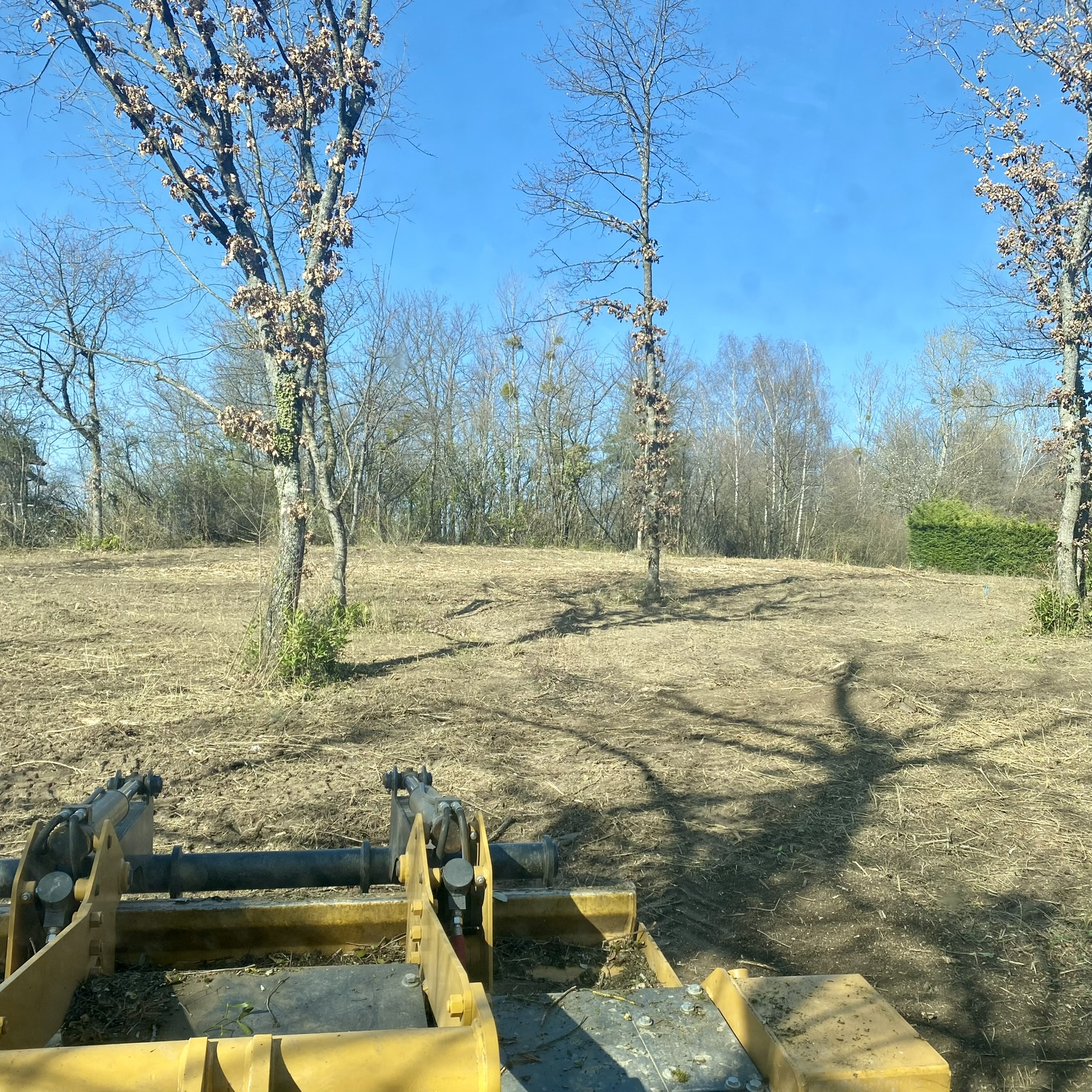 débroussaillage, élagage, entretien bois et fôret chablais, haute-savoie