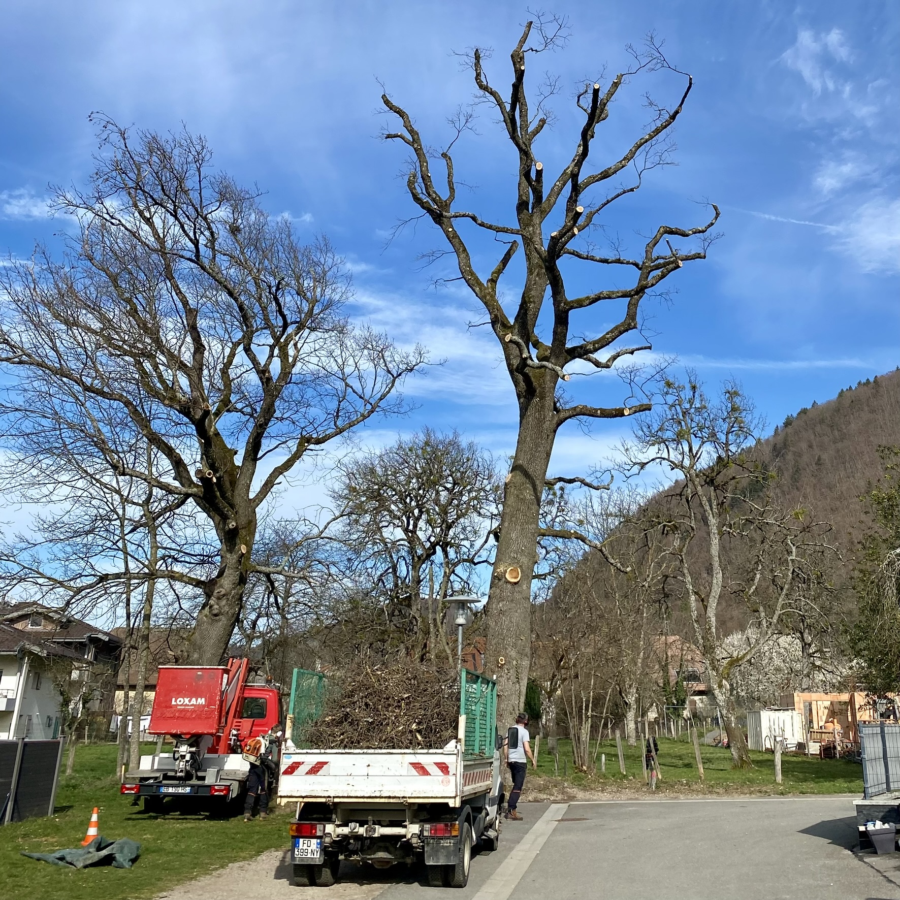 débroussaillage, élagage, entretien bois et fôret chablais, haute-savoie